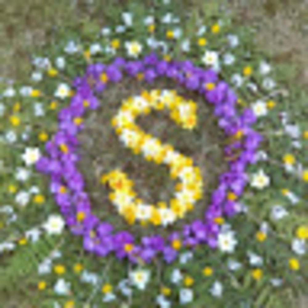 Meet your Posher, Serena eve